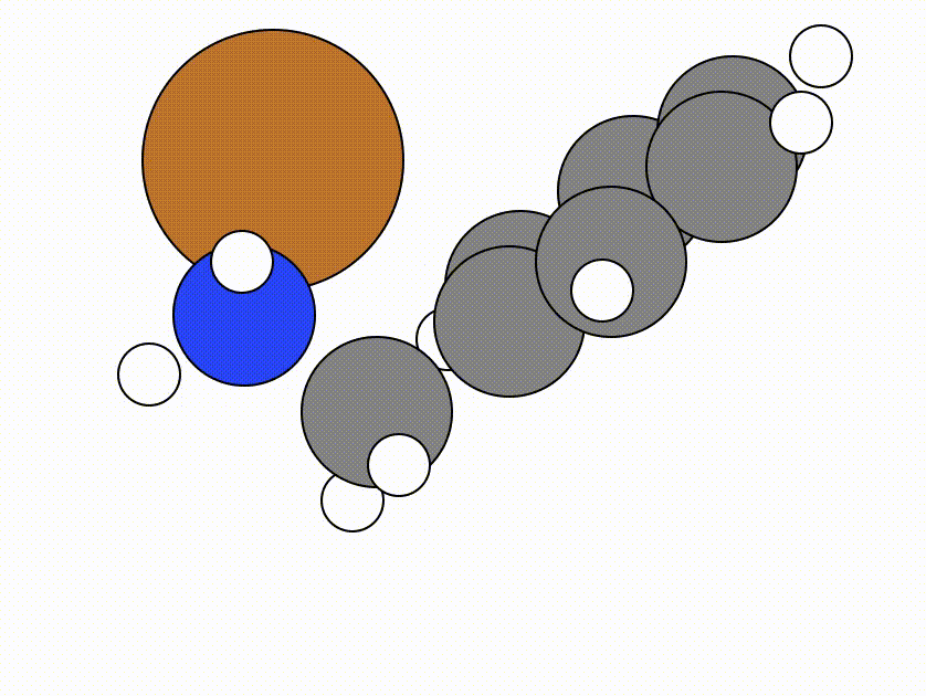 NEB Images using the FIRE algorithm